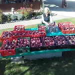 בית חווה Oranhof וולדן אם וורתרסי