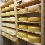 Oranhof * וולדן אם וורתרסי