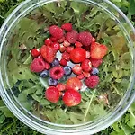 Oranhof בית חווה וולדן אם וורתרסי