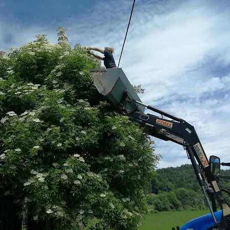 Oranhof Фельден-ам-Вёртер-Зе