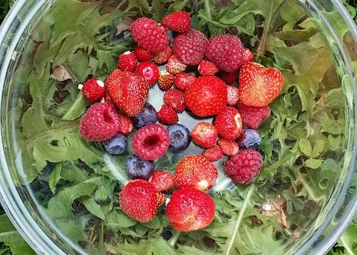 Oranhof Farma Velden am Wörthersee